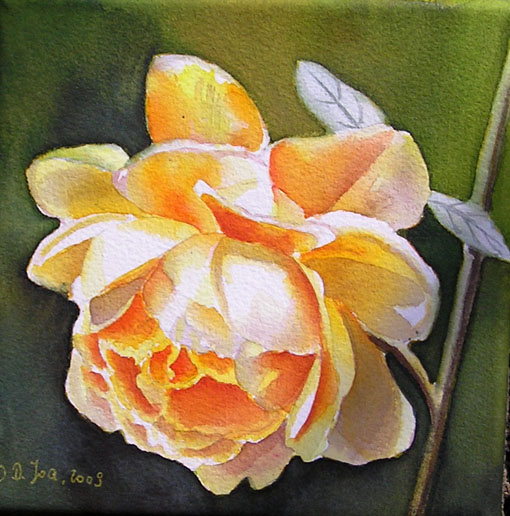 How to paint a Yellow Red Rose with Watercolors! Beginner friendly