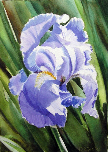 Iris Watercolor Paintings