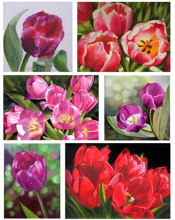 tulip flower paintings