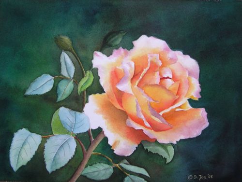 Deep orange Rose with yellow in Watercolor - Realistic Rose painting ...