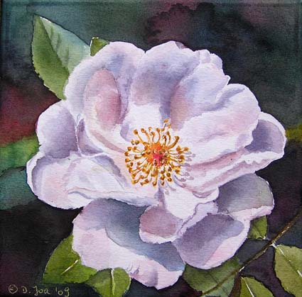 White Rose-1 - Watercolor & Oil Paintings of Roses and Flowers, DVDs ...