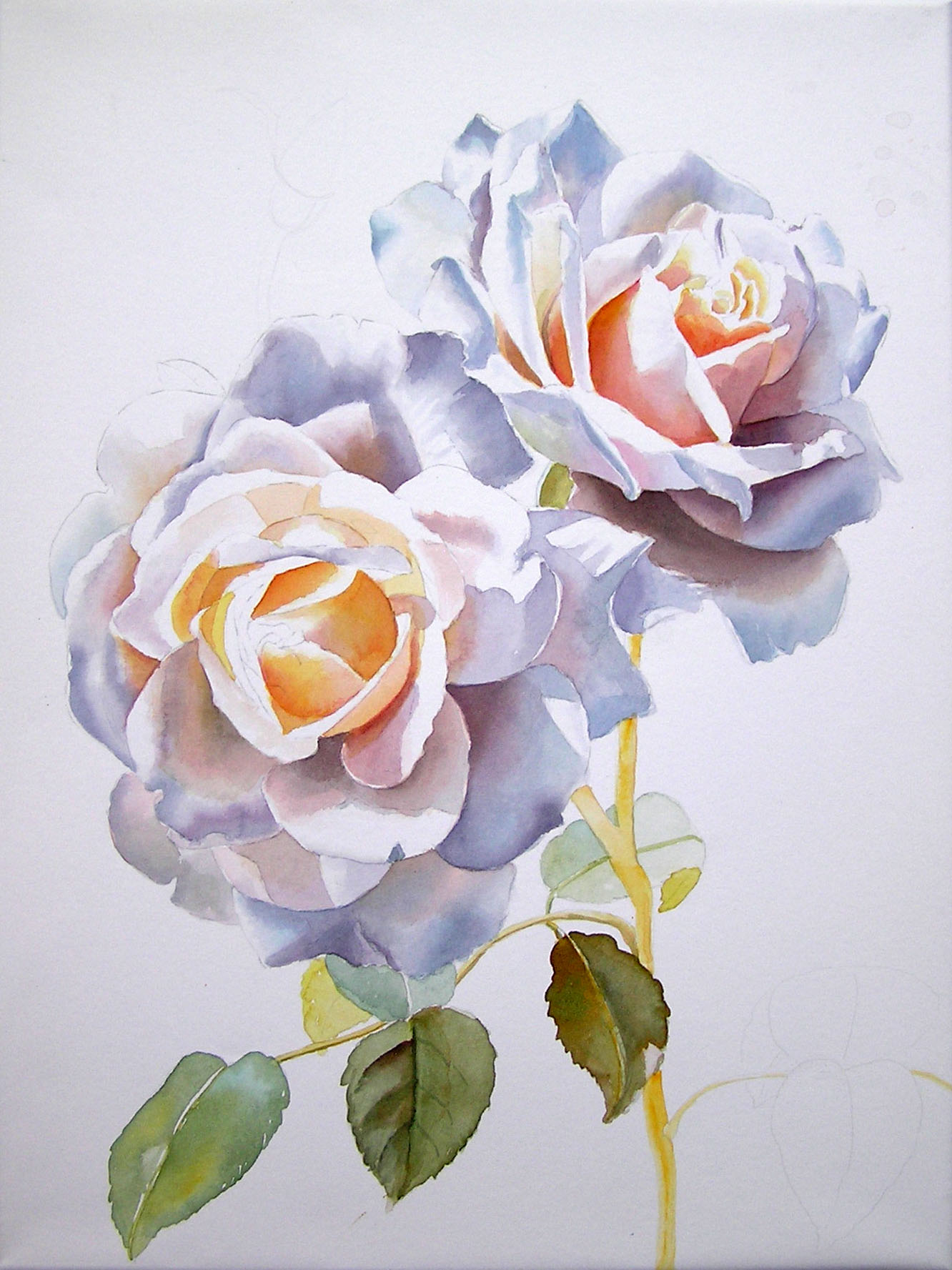 Painted rose. Дорис Джоа картины. Роза акварель (Aquarell). Розы акварель Ватерколор. Реалистичные цветы акварелью.