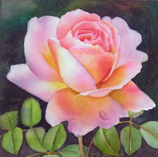Two new Pink Rose Paintings and a Demo at SusanArt Forum | Watercolor ...
