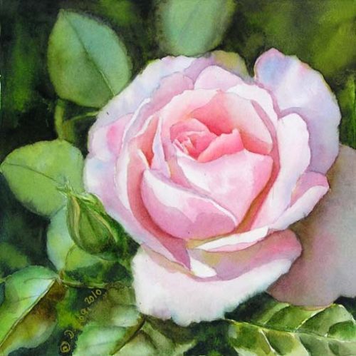 Pink Rose in watercolor - Flower Rose painting - Aquarellrose - rosa ...