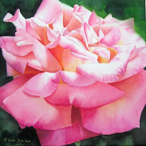 Gardendreams (Gartenträume) and a Pink Rose Painting in Watercolor (Old ...