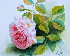 pink rose with leaves - Watercolor Rose Painting by Doris Joa