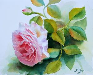 Pink Rose Watercolor Painting by Doris Joa - How to watercolor