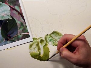 Watercolor Instruction Lesson on DVD - How to paint leaves