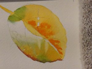 Demonstration on how to paint leaves in watercolor - Art Instruction