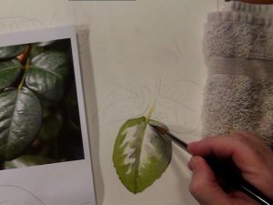 Painting Instruction for Leaves - Learn how to paint leaves