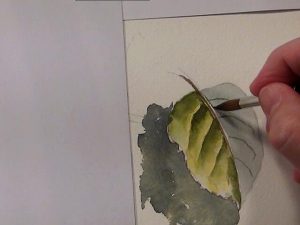 Painting Tips for painting leaves without reference photo