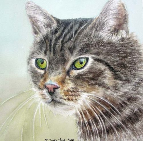 Cat Paintings in watercolor, Cats, Kittens,