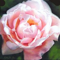 Rose Paintings and Flower Paintings in Watercolor and Oil