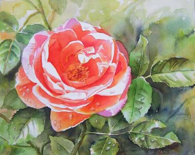 Rose Paintings and Flower Paintings in Watercolor and Oil