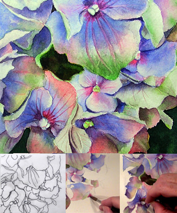 Learn to paint online how to paint a hydrangea in watercolor