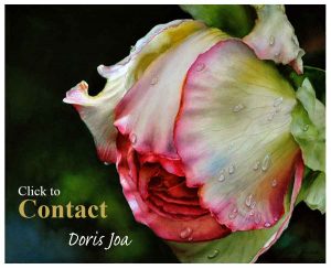 Contact Doris Joa