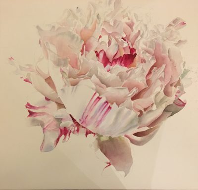 FLOWERS Archives | Watercolor & Oil Paintings of Roses and Flowers ...