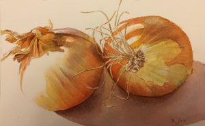 Painting of onions in watercolor