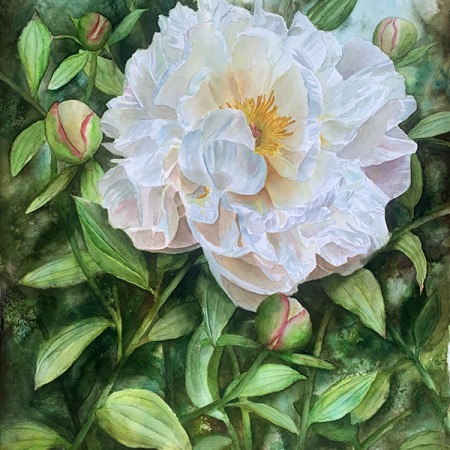 white peony in watercolor by Doris Joa