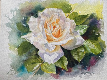 white rose painting in watercolor