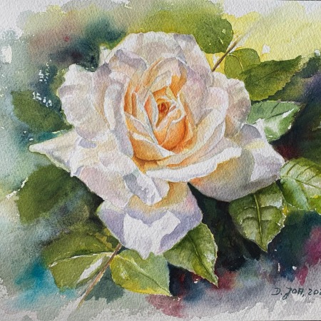 white rose painting in watercolor