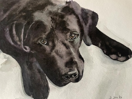 black labrador painting in watercolor