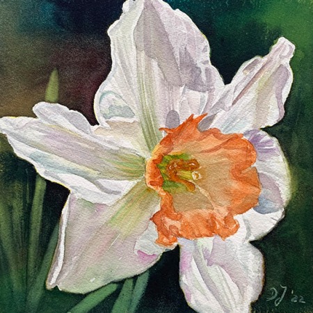 small daffodil painting in watercolor