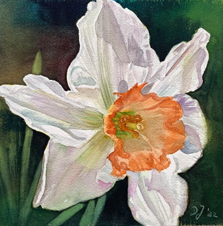 small daffodil painting in watercolor