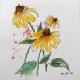 yellow sunflowers in ink and watercolor