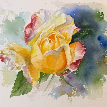 yellow rose bud in watercolor