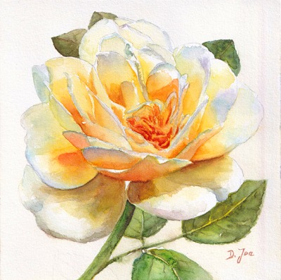 yellow rose in watercolor